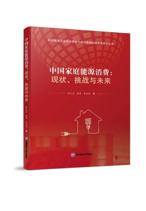 中国家庭能源消费：现状、挑战与未来